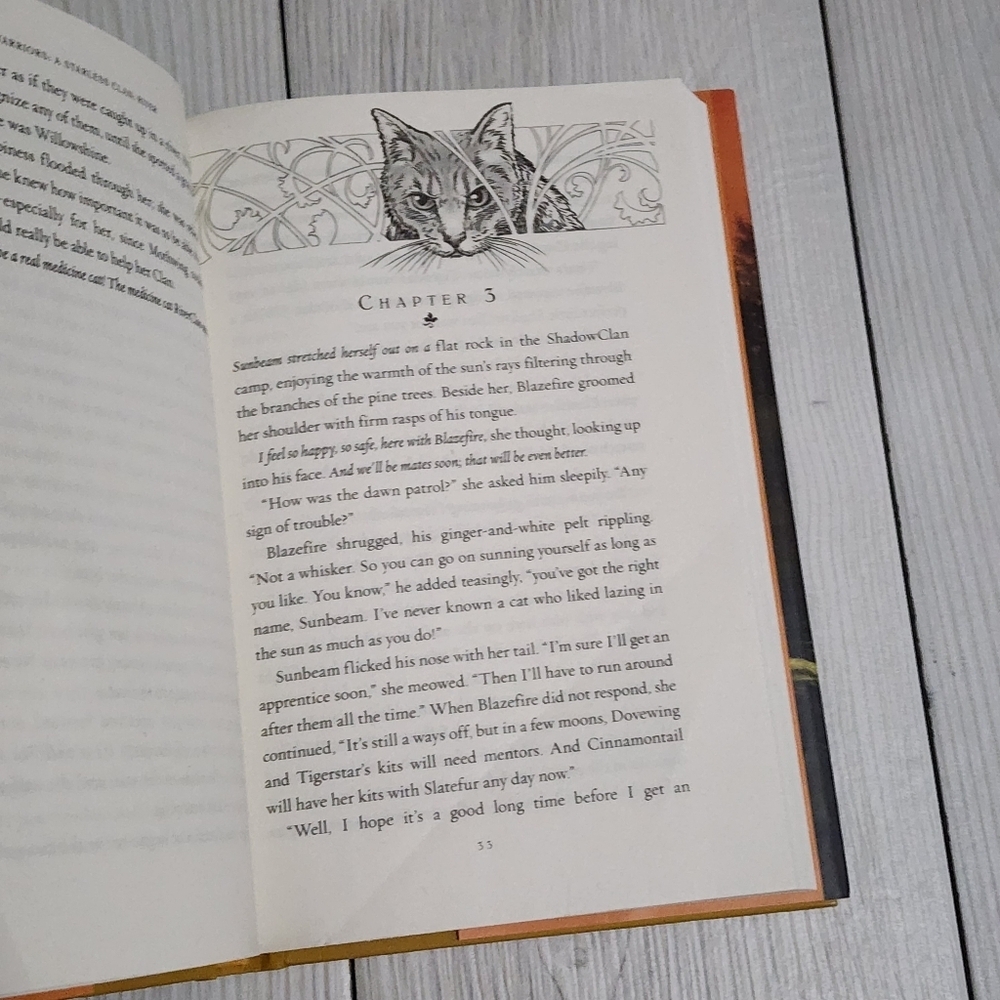 Warriors: A Starless Clan - River Hardcover Book by Erin Hunter - Picture 12 of 15